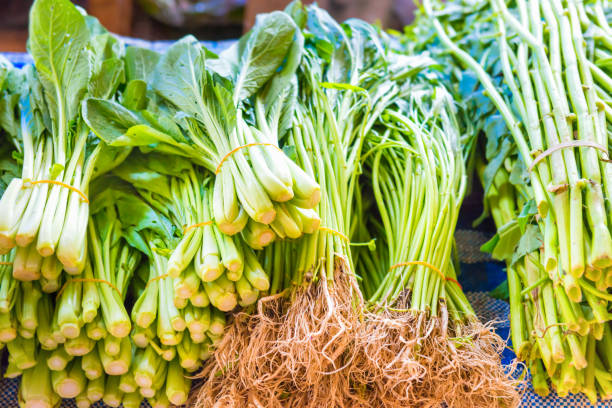 mercado de alimentos com barraca de frutas e hortaliças - asparagus vegetable market basket - fotografias e filmes do acervo