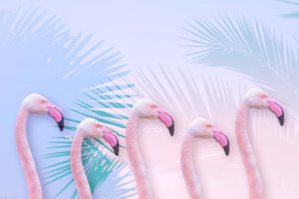 istock Summer style design with exotic flamingo and palm trees on bright colour background 1289617556