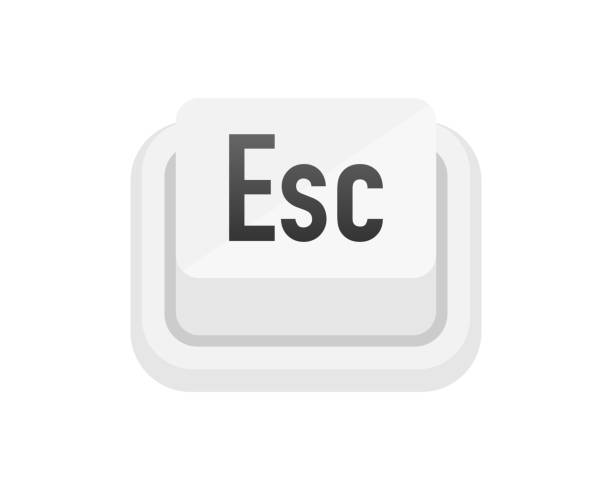 Esc white 3D button on white background. Computers particles keyboards. Vector illustration. Esc white 3D button on white background. Computers particles keyboards. Vector illustration escape key escape computer push button stock illustrations