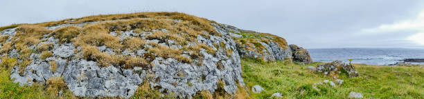 panorama del rock en burren irlanda - county clare the burren ballyvaughan stone fotografías e imágenes de stock