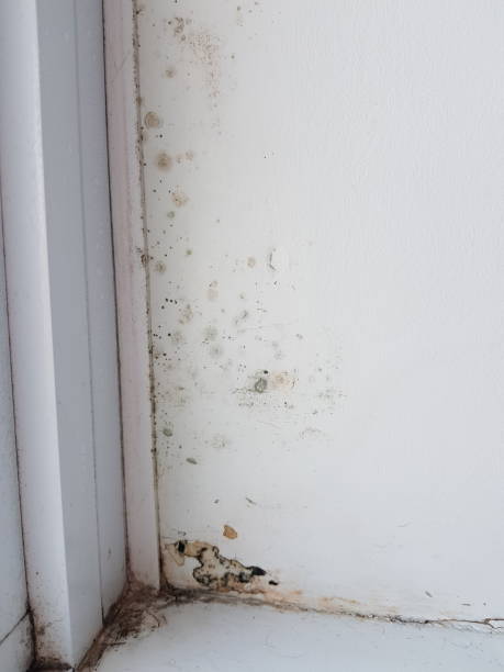 istock Condensation and mold on the window 1289620019