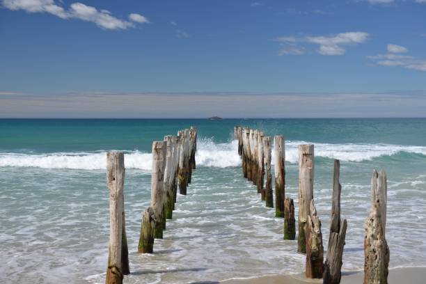 istock Poles at Saint Clair Beach in Dunedin 1289623441