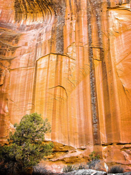 otherworldy farbtöne und texturen der great wash im spätherbst, capitol reef national park, südlichvon zentral-utah - otherworldy stock-fotos und bilder