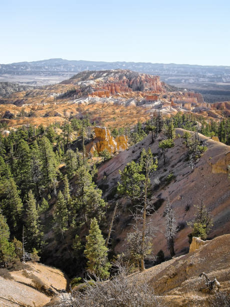 istock Late autumn in Bryce Canyon, Wasatch Mountains, south central Utah 1289623481