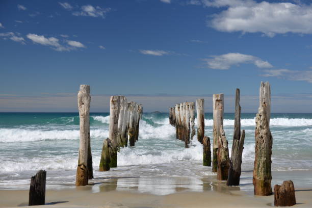 istock Poles at Saint Clair Beach in Dunedin 1289623554