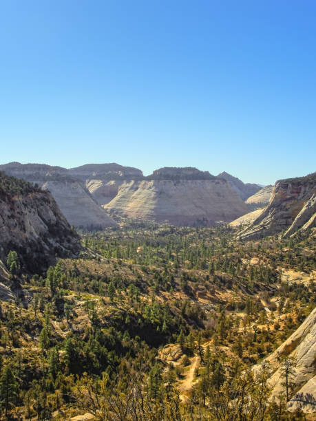 istock Late autumn in Zion Canyon 1289623724