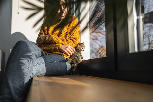 Young woman sitting on window sill on sunny day while little kitten playing next to her on wooden sill