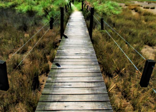 Wooden footpath at the coast of Punta Rasa, Buenos Aires Province.Argentina.
