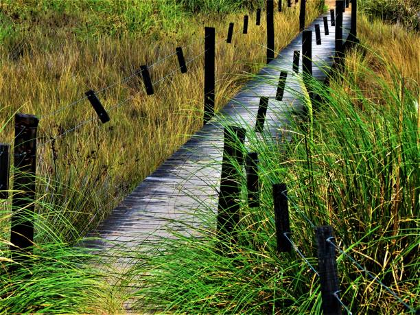 Wooden footpath at the coast of Punta Rasa, Buenos Aires Province.Argentina.