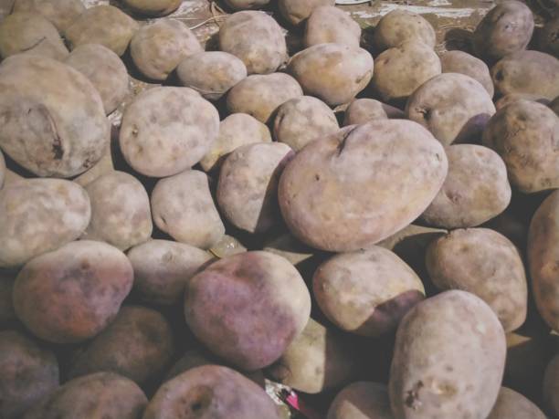 istock Potatoes on the Market 1289633468