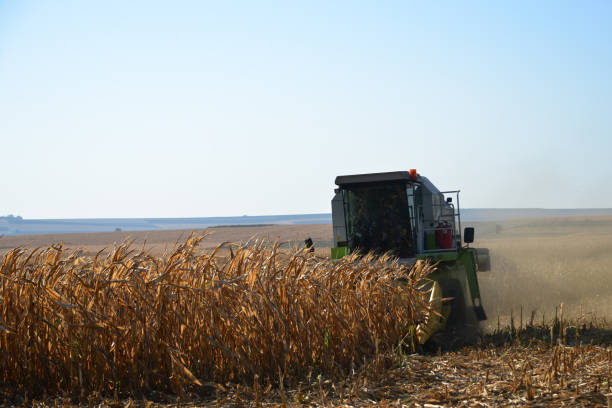 istock Harvesting of agricultural crops. 1289634373
