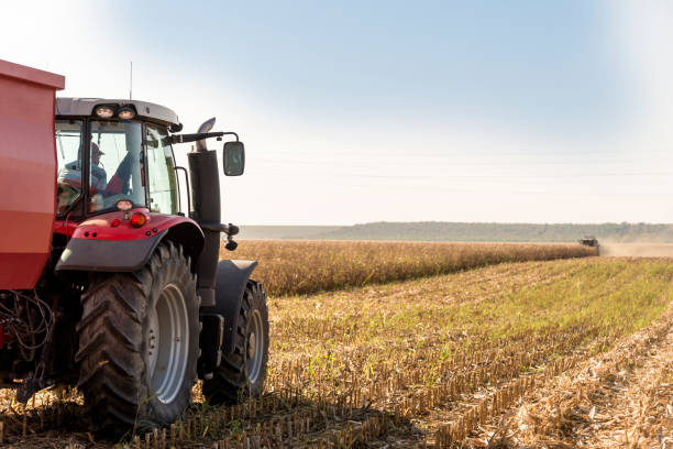 istock Harvesting of agricultural crops. 1289634374