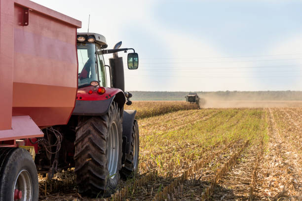 istock Harvesting of agricultural crops. 1289634377