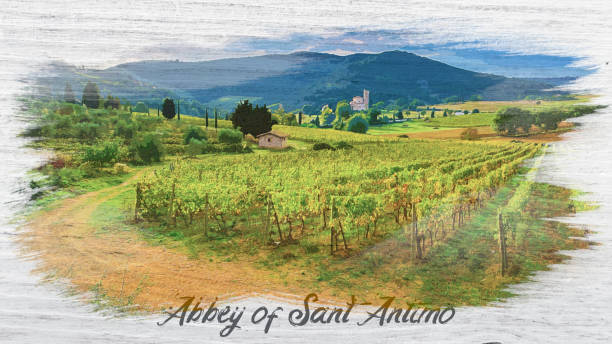 ilustraciones, imágenes clip art, dibujos animados e iconos de stock de abadía de sant antimo con viñedo en toscana, pintura acuarela - abbazia di santantimo