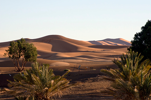 Early morning light on Erg Chebbi, Merzouga, Morocco