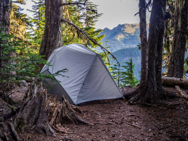 istock Backcountry camping in Rainforest at North Cascade Mountains in Washington 1289637364