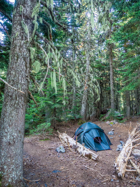 istock Backcountry camping in Rainforest at North Cascade Mountains in Washington 1289637365