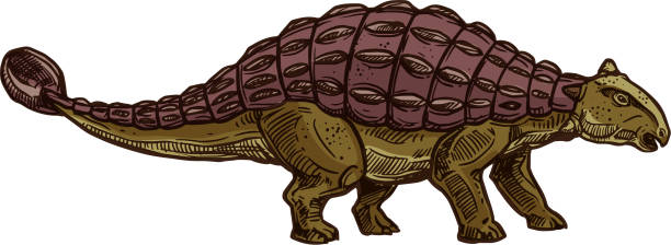 ilustrações de stock, clip art, desenhos animados e ícones de ankylosaurus dinosaur isolated brown dino sketch - anquilossauro