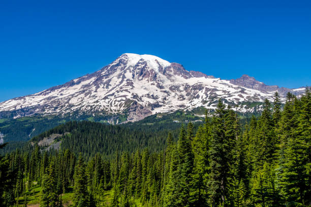 istock View of Mount Rainier from Pinnacle Saddle trail 1289639101