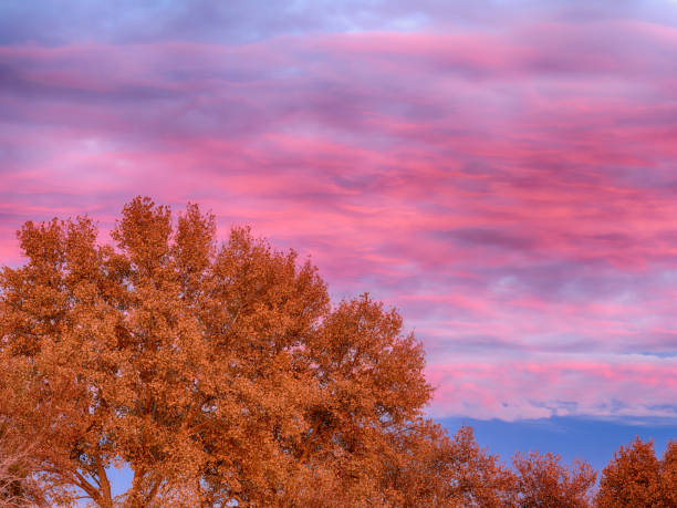 Colorful cloudy Autumn Sunset with orange tree leaves and dramatic clouds.