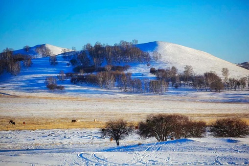 Bansko, Bulgaria travel winter landscape panorama of snow Pirin mountain peaks and river Glazne