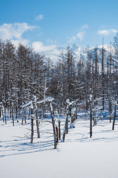 istock Snow-covered winter blue pond in Biei with blue sky 1289648964
