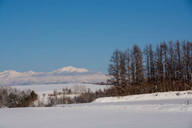 istock Snowfields and snowy mountains with a blue sky 1289648977