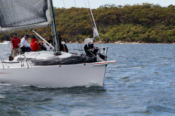 velero en el puerto de sídney. la vela se tira hacia abajo en la cubierta del barco - headsail fotografías e imágenes de stock