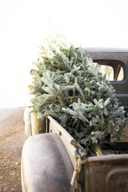 istock Christmas Tree in Vintage Truck, White Background with Copy Space 1289650555