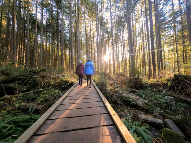 Daughter and Mother Walking Along Boardwalk Through Sunlit Winter Forest
