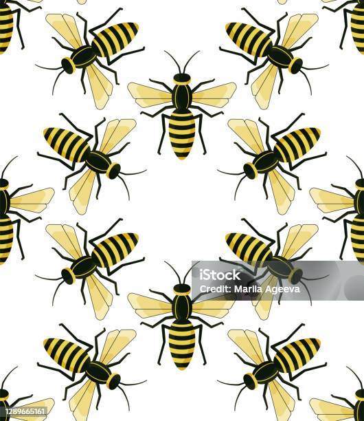 Wasp Body Pattern Seamless Pattern With Wasps Vector Illustration Stock Illustration ...