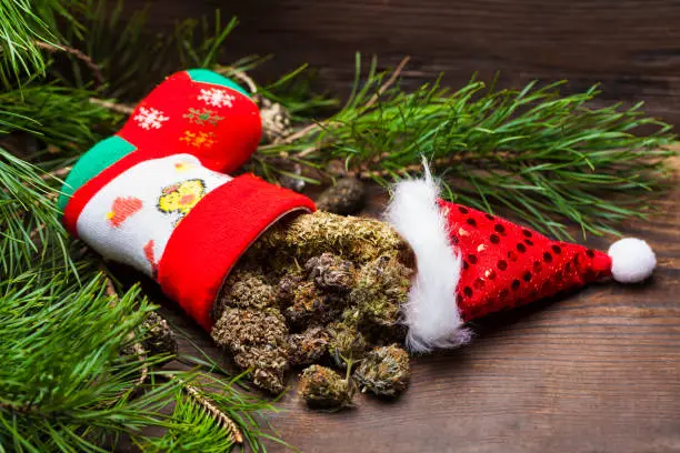 Photo of big cannabis cone christmas decoration