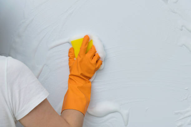 istock Woman hand cleaning blue wall with sponge 1289669493
