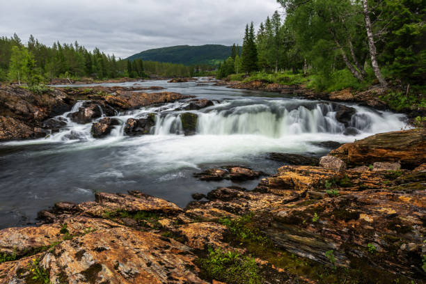 istock Rapids on the beautiful river in Norway 1289675447