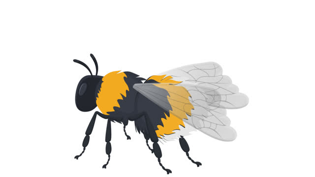 Bee Cartoon Stock Videos and Royalty-Free Footage - iStock