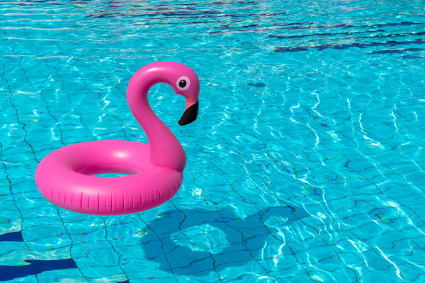 istock Summer fun isolated. Pink inflatable flamingo in pool water for summer beach background. Funny bird toy for kids. 1289679607