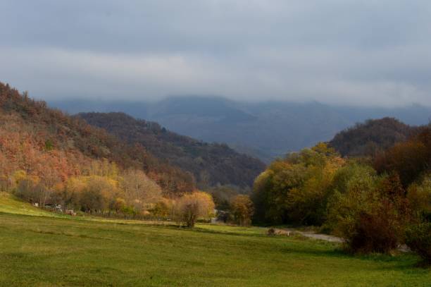istock autumn landscape with colorful forest 1289679769