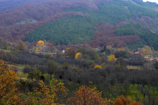 istock autumn landscape with colorful forest 1289679869