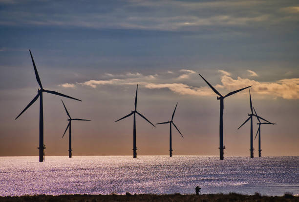 Silhouette of lone person on shore with large turbines of Teeside Wind farm offshore, South Gare, Teeside, England, Britain Offshore wind farm with calm sea cleveland england stock pictures, royalty-free photos & images