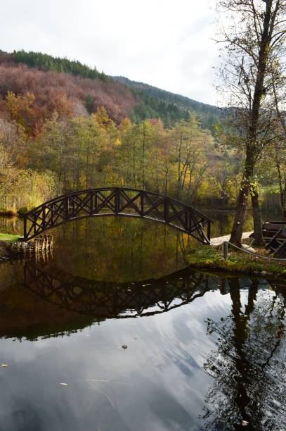istock a wooden bridge and a reflection in the lake 1289680916
