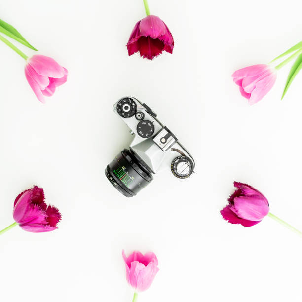 istock Retro film camera and pink flowers on white. Flat lay, Top view 1289680936