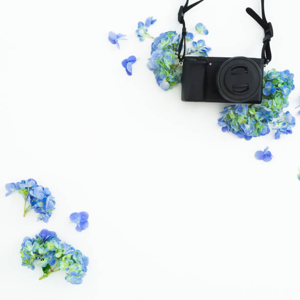 istock Retro film camera and pink flowers on white. Flat lay, Top view 1289680940