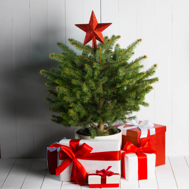istock Christmas tree and gifts 1289681226