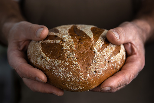 Baker man holding a beautiful loaf of homemade rye fresh bread. Close-up old hands with wrinkles. Concept of harvest with copy space