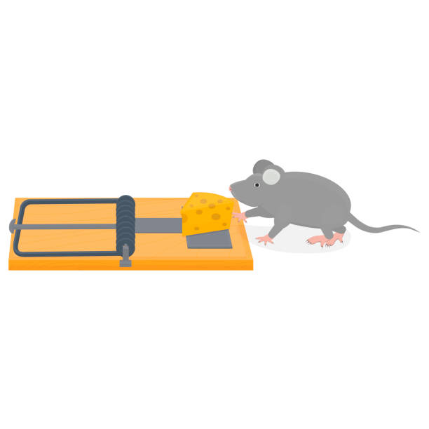 https://media.istockphoto.com/id/1289682359/vector/mousetrap-animal-mouse-in-a-trap-bait.jpg?s=612x612&w=0&k=20&c=GhpsNCHaMeEwJosirSb_vcWPAUlUSurEO4V6Gyb_r28=