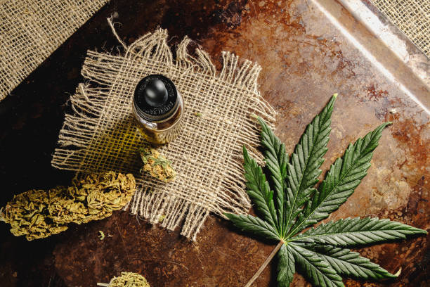 Can CBD Help Manage Bipolar Depression? -combat creatine