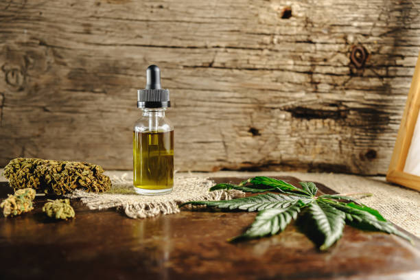 How Does CBD Work in the Brain and Body? -combat creatine