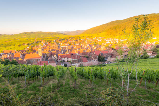 istock View of Riquewihr village in Alsace 1289683027