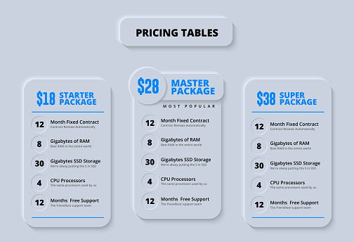 Fancy and Clean Modern Price Charts or Service Table Infographic for E-Commerce Website on Light Background