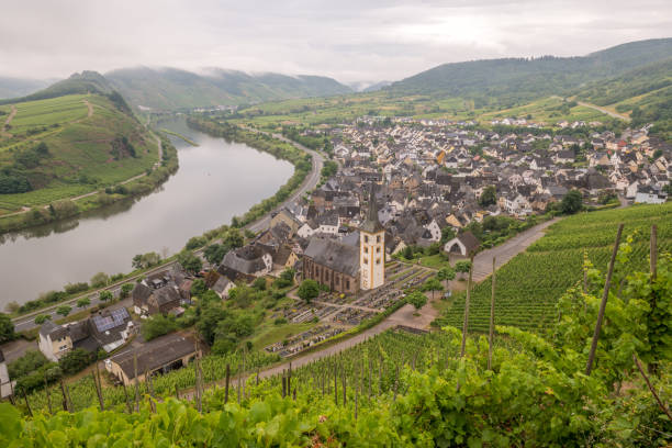 istock Mosel river by Moselschleife in Bremm a small village alongside the Mosel river 1289683541